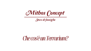 Che cos&rsquo;&egrave; un Terrarium?