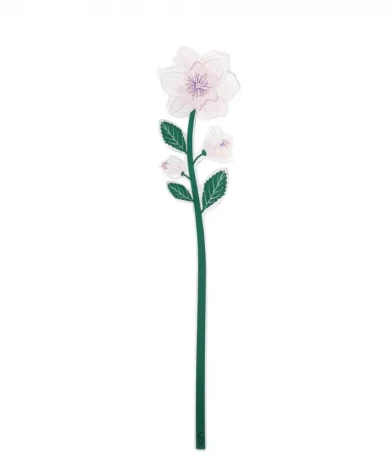 mithos-concept-prodotto-rosa-selvatica-funny-flowers-vesta